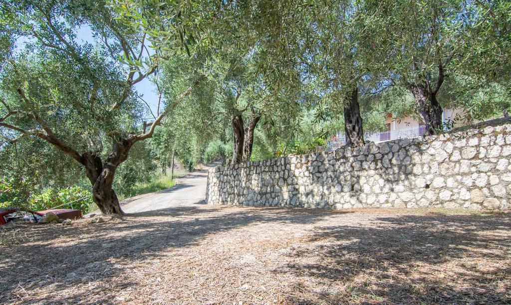 Spiti Kritikos Benitses (Corfu) Exterior foto